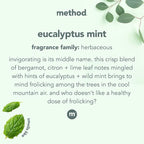 Method Daily Shower Cleaner Refill, Eucalyptus Mint, For Showers, Tile, Fixtures, Glass and Tubs, 68 Fl Oz (Pack of 2)