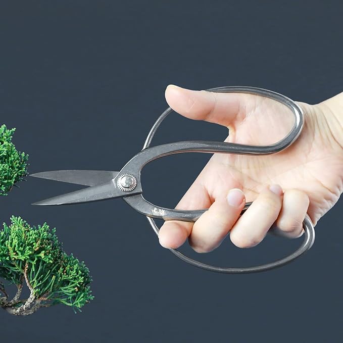 Wazakura Yasugi Stainless Steel Made in Japan Traditional Bonsai Scissors 7 in (180 mm), Pruning Shears for Bonsai Trees, Japanese Gardening Tools