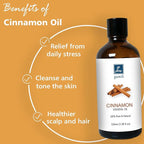 Cinnamon Essential Oil, 100% Pure Undiluted Cinnamon Oil for Diffuser, Massage - 100ml/3.38 oz