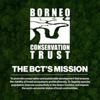 Happy Elephant Fabric Softener, White Tea & Fig Scent, Natural Biodegradable Liquid Fabric Softener, Plant Based, Softens Clothes & Reduces Static, Gentle on Skin, HE Compatible, 64 Fl Oz, 1 Pack