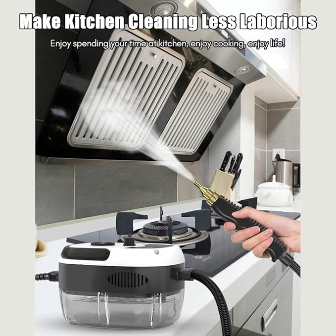 Irishom 2500W Portable Handheld Steam Cleaner High Temperature Pressurized Steam Cleaning Machine with Brush Heads and Gloves for Kitchen Furniture Bathroom Car