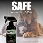Chronic Wipeout Smoke Odor Eliminator Spray For Strong Odor - Highly Effective for Deodorizing Homes, Clothes, Cars, Office, Hands, & Hair from Smoke Smells - 1 16 oz Bottle Sugar Cookie Fragrance