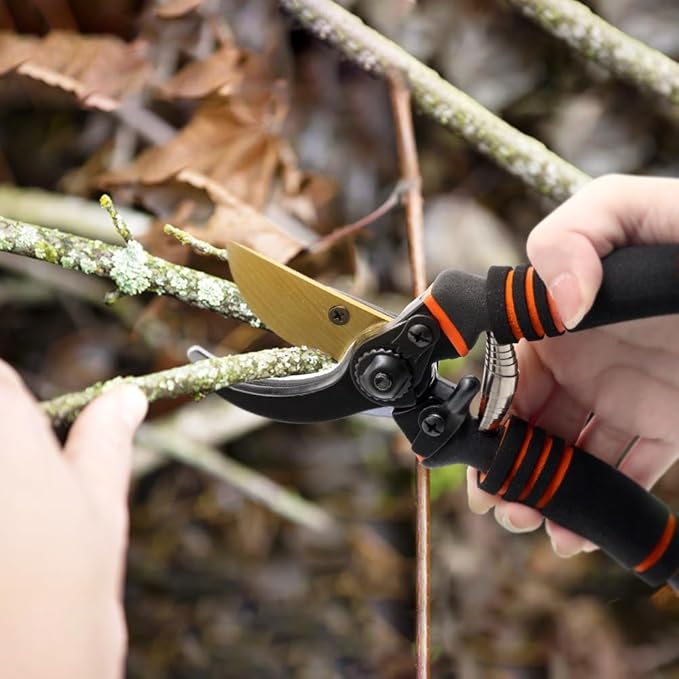 Garden Shears, Pruning Clippers, Professional Straight Blade Hand Shears Heavy Duty, Hedge Shears, 8" Hand Clippers with Rubberized Handles, Plant Trimming Scissors for Gardening, Shrub
