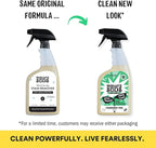Molly's Suds Stain Remover Spray | Gentle Yet Powerful, Great for Baby & Pet Stains | Clean, Simple Ingredients (Fragrance Free) (16 Fl Oz (Pack of 2))