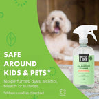 Better Life All Purpose Cleaner - Plant Based Home and Kitchen Cleaning Spray for Glass, Countertops, Appliances, Upholstery & More - Multi-surface Spray Cleaner - 24oz Clary Sage & Citrus