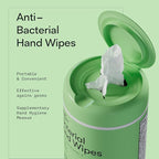 Biopure Antibacterial Hand Wipes Fresh Morning Breeze- Antibacterial Wipes with Aloe and Vitamin E Formula | 5"x7" Wet Wipes Canister | No Parabens, Sulfates or Phthalates, Kills 99% of Germs, 50 ct