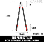 GARTOL 29" Heavy Duty Anvil Lopper, 2-Inch Cutting Capacity Tree Branch Cutter with Compound Action, Effortless Power Loppers for Hardwood & Dry Branches, Ergonomic Non-Slip Handles