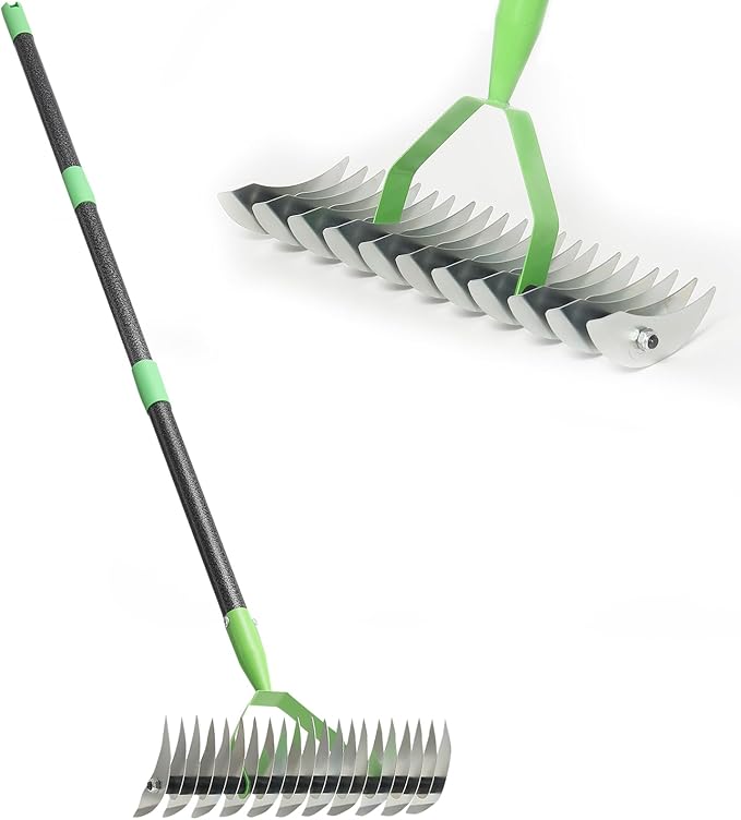 Thatch Rake for Lawns, Dead Grass Dethatcher Rake Removal Tool Heavy Duty Long Handle 54 inch, 13 inch Wide 11 Tines Manual Lawn Thatcher for Loosening Soil in Yard Garden