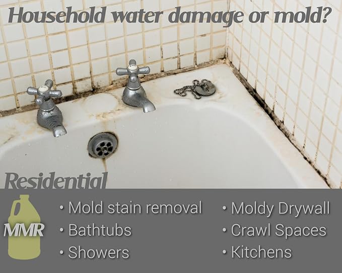 Bad Axe MMR Instant Mold Stain and Mildew Stain Remover - Professional Strength, Contractor Grade Cleaning Solution, Professional Quality Formula, Odor Removal, 1 Gallon (2)