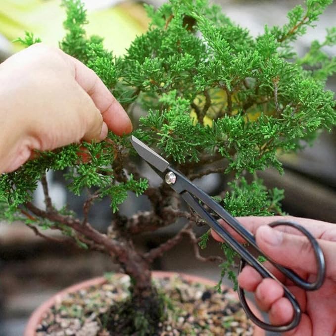 GARDENERA 16-Piece Professional Bonsai Tools Set for Precise Trimming and Shaping Trees for Professional and Amateur Gardeners