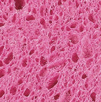 Non-Scratch Cellulose Sponge Kitchen Scrub Sponge with Scouring Pad Set, Good for Non-Stick Cookware Frying Pan, Pot, Counter Top, Sink Scrubbing, Kitchen Scrubbers, Pack of 2, (Red/Pink)