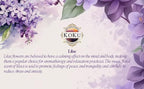 Lilac Room Spray - Air Freshener - Linen Spray - Fabric Refresher - Non-Toxic Scent - Alcohol Free - Made in USA (4 Oz)