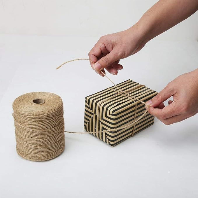 Tenn Well Natural Jute Twine, 984 Feet 2mm Garden Twine, Brown Jute String for Arts and Crafts, Gardening, Gift Wrapping, Bundling, Recycling