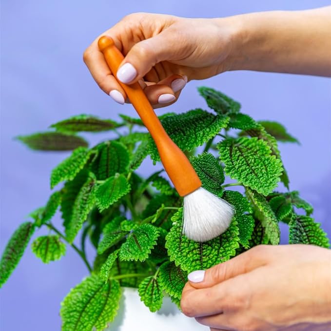 Southside Plant Cactus & Succulent Plants Cleaning Brushes - Wooden Handles w/Soft Goat Hair Bristles - Garden Cleaning Tools, Gentle on Plants, 7" & 3.2" Sizes - Pack of 2