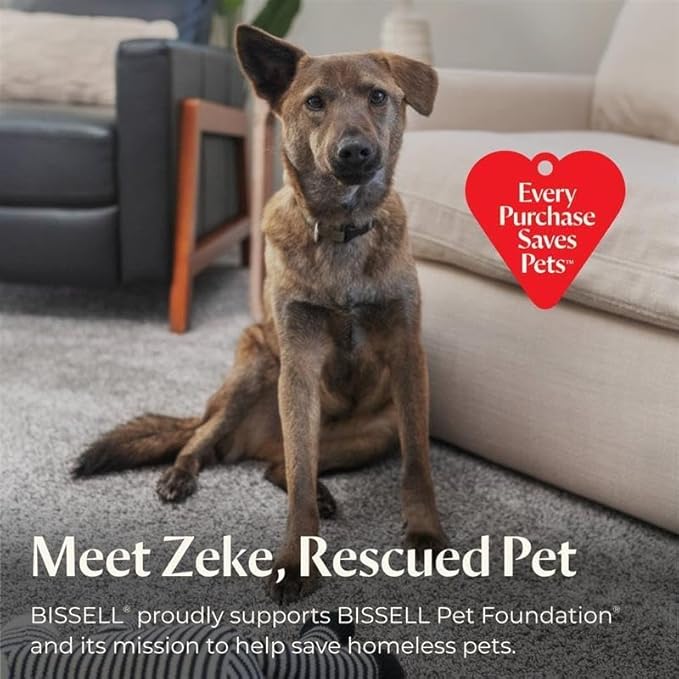 BISSELL® Steam Shot™ Omni handheld portable steam cleaner for tile, grout, windows, bathrooms, kitchens, includes 7 tools