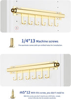 BaiNong 16.5" Valet Rod for Closet Pull Out With 6 Hooks Valet Rods for Closets (2Pack Gold) Closet Valet Rod Slide Out