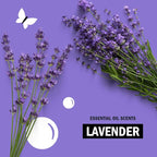 Molly’s Suds Laundry Detergent Sheets | Gentle on Sensitive Skin, Powerful Bio-Based Enzymes, Stain-Fighting | Liquidless & Plastic-Free Packaging | 70 Loads (Lavender)