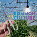 Obsidian Drake Pro Hort Trimming Scissors - Non-Stick Fluorine L-Shape Blade - Glow in the Dark - by Common Culture
