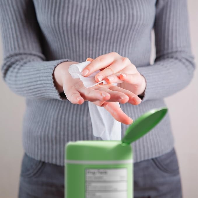 Biopure Antibacterial Hand Wipes Fresh Morning Breeze- Antibacterial Wipes with Aloe and Vitamin E Formula | 5"x7" Wet Wipes Canister | No Parabens, Sulfates or Phthalates, Kills 99% of Germs, 600 ct