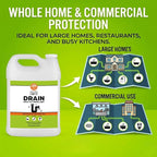 Nature’s Dome Drain Fly Killer Gel – 1 Gallon – Kills & Prevents Drain Flies, Fruit Flies & Sewer Flies – Natural Plant-Based Treatment for Sinks, Pipes & Drains – Safe for Septic Systems