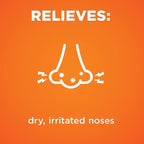 Amazon Basic Care Premium Saline Nasal Moisturizing Spray, Non-Medicated Relief for Dry, Irritated Nose, 3 fl oz (Pack of 1)