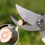 BUGUI Garden Shears Set of 2, Includes 1 Bypass Pruning Shears and 1 Straight Blade Garden Scissors, Sharp, Lightweight