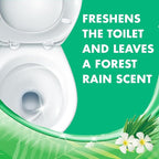 Lysol Toilet Bowl Cleaner Gel, For Cleaning and Disinfecting, Stain Removal, Forest Rain Scent, 24oz (Pack of 2)