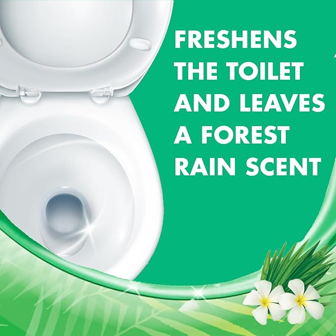 Lysol Toilet Bowl Cleaner Gel, For Cleaning and Disinfecting, Stain Removal, Forest Rain Scent, 24oz (Pack of 2)