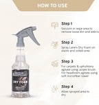 LANE'S Carpet Cleaner Spray- Carpet Cleaner Foam, Removes Odor, Fights Tough Dirt and Stains, Professional Grade Cleaning Spray E-209-16 ounces
