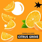 Molly’s Suds Laundry Detergent Sheets | Gentle on Sensitive Skin, Powerful Bio-Based Enzymes, Stain-Fighting | Liquidless & Plastic-Free Packaging | 120 Loads (Citrus Grove)