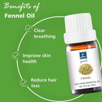 Fennel Essential Oil 10ml - 100% Pure Natural Fennel Oil for Diffuser, Aromatherapy, Massage, DIY Skincare, Sweet Herbal Scent