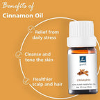 Cinnamon Oil - Pure Organic Essential Oil for Diffuser, Spray, Massage, DIY Candles & Soap - Cinnamon Bark Oil, 10mL