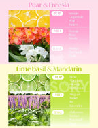LG Styler Sheets 20 Sheets (Freesia + Lime basil)