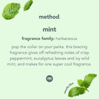 Method Glass Cleaner,Mint,28 Ounce,Packaging May Vary,(Pack of 8)