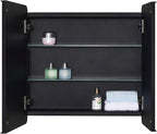 Black Bathroom Medicine Cabinet with Round Corner Framed Door and Beveled Edge Mirror 22 x 20 inch, Recessed or Surface Mount, with Adjustable Glass Shelves