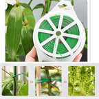 656ft (200m) Twist Ties, Garden Plant Ties with Cutter, Reusable Multifunctional Plant Ties, Fixing Vines Plant Support for Gardening Home Office(Green)