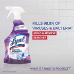 Lysol Mildew Remover Spray with Bleach, 32 Ounce (Pack of 12)