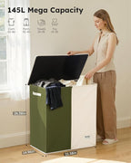 SOLEDI Large Double Laundry Hamper with Lid, Collapsible Clothes Hamper 2 section with Removable Bags, Space-Saving Laundry Basket for Bedroom, Dorm, College