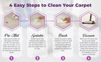 Capture Carpet & Rug Dry Cleaner (4lb) Pet Stain & Odor Neutralizer (32 oz), Pet Stain Remover for Carpet, Rug, Couch, Car & Upholstery - Bundle