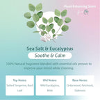 Therapy Clean All Purpose Cleaning Spray - Sea Salt & Eucalyptus 24 fl. oz (Pack of 3) - 100% Natural Scent, Kitchen Surface Counter, Surface Cleaner, Non Toxic All Purpose Cleaner Spray