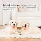 pawTree Urine Eliminator™ - Stain & Odor Remover for Cats and Dog. Enzymatic technology permanently removes old and new stains, neutralizes odors, and prevents repeat marking. Ideal for carpets.