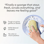 Vove Cleaning Duo, Bamboo Dish Brush Set and Natural Dish Sponges, FSC-Certified Bamboo, Sisal, Loofah, Cellulose, Plastic-Free, Eco-Friendly Zero-Waste Kitchen Dish Scrubber Set