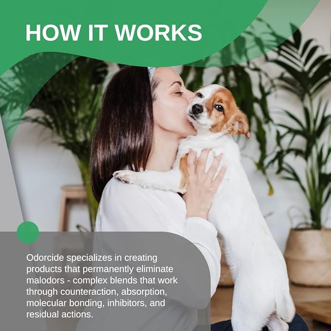 ODORMED Odor Eliminator Concentrate – Pet Odor Eliminator for Strong Odor on Floors, Walls, Cages & More – All-Purpose Carpet Deodorizer w/Safe, Non-Enzymatic Formula (1 Gal, Crisp Mountain Air)