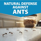 Ant Killer Spray Indoor Outdoor Use - Plant-Based Formula with Lemongrass Oil and Geraniol - Kid & Pet Safe Ant Killer Spray - Natural Ants Repellent and Prevention for Home, Car, & Outdoors