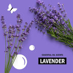 Molly's Suds Liquid Dish Soap | Clean, Simple Ingredients | Extra Scrubbing Power | Lavender Scent, 24 oz - 2 Pack