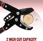 AGRICUT Extendable Garden Loppers Anvil - Tree Trimmer 2" Cut Capacity Hedge Clippers with Sharp High Carbon Steel Blade Hand Loppers for Cutting Branches
