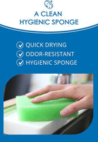 SunSun Sponge Kitchen Sponges, Made in Japan All Surface Scratch-Free Odor Resistant Durable Long-Lasting Sponge for Dishwashing, Pastel Color, 4 Count