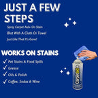 Professional Carpet Spot & Stain Remover – Removes Pet Stains, Coffee, Grease, Ink, & More – pH-Balanced Formula – 14 oz Can (2)