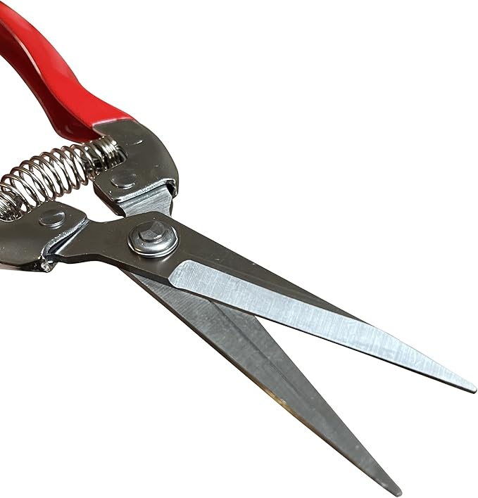 GARDEN GURU Straight Stainless Steel Pruner Pruning Shears Clippers Snips Sharp Bonsai Cutter Plant Trimming Scissor Straight Blade Garden Scissors Tool -Great for Roses Flowers Herbs Fruits (4 Pack)