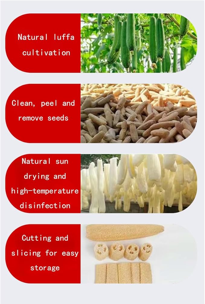Natural loofah dishwashing Sponge, Biodegradable, Suitable for Kitchen dishwashing, More Environmentally Friendly, Clean, and Scratch Free, 10 Piece Set (7.87in*9.84in)